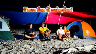 Hujan deras Saat tidur, Camping di tepi sungai,Panen ikan di malam hari,