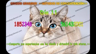 Concentracion Diaria | Dia 11 - Metodo de Grigori Grabovoi