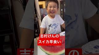 志村けんのスイカ早食いチャレンジ #子育て #baby #赤ちゃん #育児 #babycat #cute #cutebaby #funny #babypet #スイカ #早食い