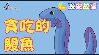 E媽說故事📖《貪吃的鰻魚》睡前故事│晚安│寶寶故事│中文童話│床邊故事│兒童故事│寶貝故事