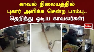 காவல் நிலையத்தில் புகார் அளிக்க சென்ற பாம்பு  தெறித்து ஓடிய காவலர்கள்! | Police | snake