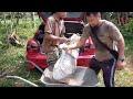 Projek Kandang Kambing | Goat pen | Bawa balik kambing