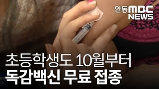 초등학생도 10월부터 독감 무료접종 / 안동MBC