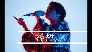 【华晨宇huachenyu-神树】高音质灾难片 后天 全球风暴 海云台 流浪地球等等顶级灾难片disaster film电影混剪Movie cut