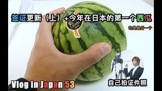 【Tiya的日本留学日记】Vlog 53 签证更新（上）+ 今年在日本吃的第一个西瓜