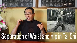 Internal Style Concepts (66): Separation of Waist and Hip in Tai Chi