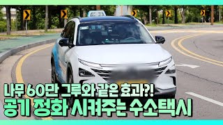 나무 60만 그루🌳와 같은 공기를 정화시켜 주는 '수소 택시🚖' 다큐 플러스(docuplus) 174회 | JTBC 210725 방송