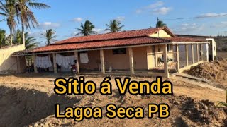 SÍTIO A VENDA 3/8 HECTARES EM LAGOA SECA PB ZAP 11 99241-0158