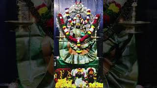 Sri jammulamma talli namo namaha | SRS CREATIONS #gadwalsrsvlogs #devotional