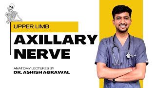 Axillary Nerve || Upper Limb Anatomy || First Year MBBS || Anatomy lectures by Ashish