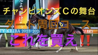 【競馬】チャンピオンズＣの舞台と同じダート周回コースはこれを買えば勝てる説【競馬検証】