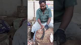 kaala meen fishcut/Fishcuttingrs #fishcuttingrs #fish #kasimedu #shorts