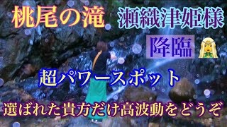 天理市桃尾の滝🍑これが春日断層崖⛰️最大の滝だ⚠️高波動につき閲覧注意