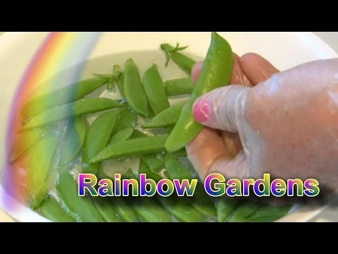 How to Trim Sugar Snap Peas How to Trim Sugar Snap Peas
