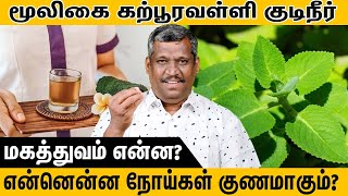 Breathing Mechanism | Lung Anatomy | dermatologist |Skin Care | கற்பூரவள்ளி குடிநீர் |healer baskar