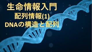 【生命情報入門】配列情報(1)：DNAの構造と配列