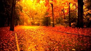 Cecile Bredie The Autumn Leaves With Lyrics