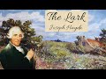 Haydn: String Quartet No. 53 in D Major Op. 64 - 'The Lark'