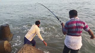 ലൈവ് ചെമ്മീൻ ഇട്ട ഉടനെ മീൻ  #chemmeen #kudam #fishing #video