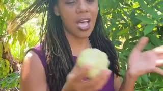 How to eat a sugar apple