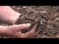 best potting soil recipe