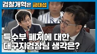 특수부 폐지, 축소에 대해서 여환섭 대구지검장님의 의견을 듣고 싶습니다 - 2019 대구고등검찰청 국정감사