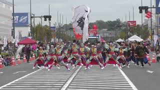 ちばYOSAKOI＠2019❜　水戸藩YOSAOI連　市原パレードB2会場