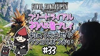 【FF14】無料トライアル初心者プレイ#33 初めての土地でワンコとおつかい【女性実況】