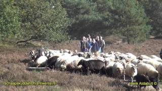 Gezellig Familie Uitje,met rondleiding door de Schaapherder Jos Duurland over de heide.