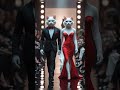 fashion show of the year stunning white cats take the runway cat cute ytcat