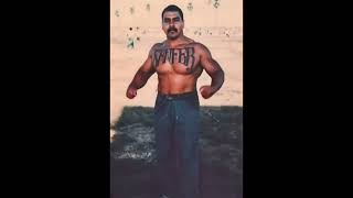 Muscular Southern Mexicans (Surenos, Southsiders). Biggest \u0026 Fittest Raza Inmates in CDCR History.