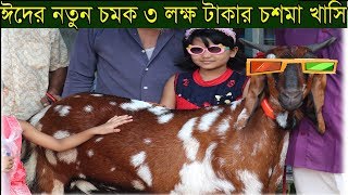 ঈদের সেরা চমক ৩ লক্ষ টাকার চশমা খাসি/ঈদের সেরা আকর্ষণ ৩ মণ ওজনের টাইগার/Goat price in the gaptuli