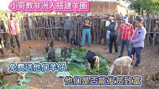 小哥教非洲村民搭建羊圈，传授村民养殖技术，从此踏上发家致富