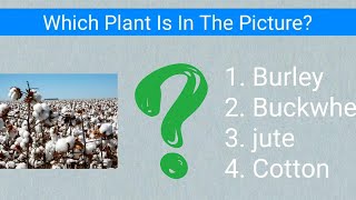 Unlock Your Inner Genius with Quizzes!