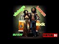 VINTAGE REGGAE  MIX  DJ EJY  2024