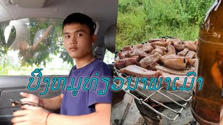 ປິ້ງໝູທ່ຽວນາພາເມົາ_ปี้งหมูท่งวนาพาเมา[ພາຢາມນາ]