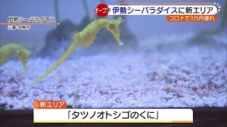 三重・伊勢シーパラダイスで新エリアがオープン (20/07/16 17:02)