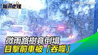 生死瞬間曝！停紅燈車竟遇路樹倒　台中2車遭「吞噬」｜三立新聞網SETN.com