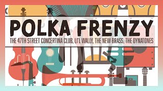 Polka Frenzy - Various Artists (2+ Hours)