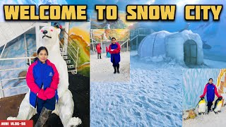 Mini Vlog 56 ||A Day In Snow🌨️ City🏙️ || Anna Park || Salem