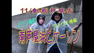 11/22南芦屋浜と西宮ケーソンの釣果　タチウオあり　フィッシングマックス芦屋店