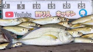 堤防で座ってアジ50匹釣ったサビキと道具がコレ