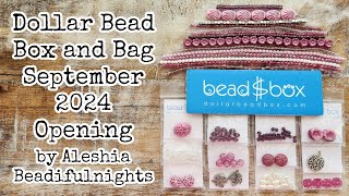 Dollar Bead Box and Bag September 2024 Opening