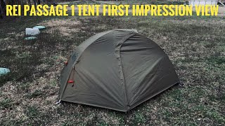 REI Passage 1 Tent First Impression