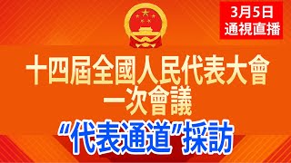 【通視直播】3月5日 第十四屆全國人民代表大會第一次會議  “代表通道”採訪