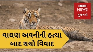 વાઘણ અવનીની હત્યા બાદ મેનકા ગાંધી અને વન મંત્રી વચ્ચે થચો વિવાદ (બીબીસી ન્યૂઝ ગુજરાતી)