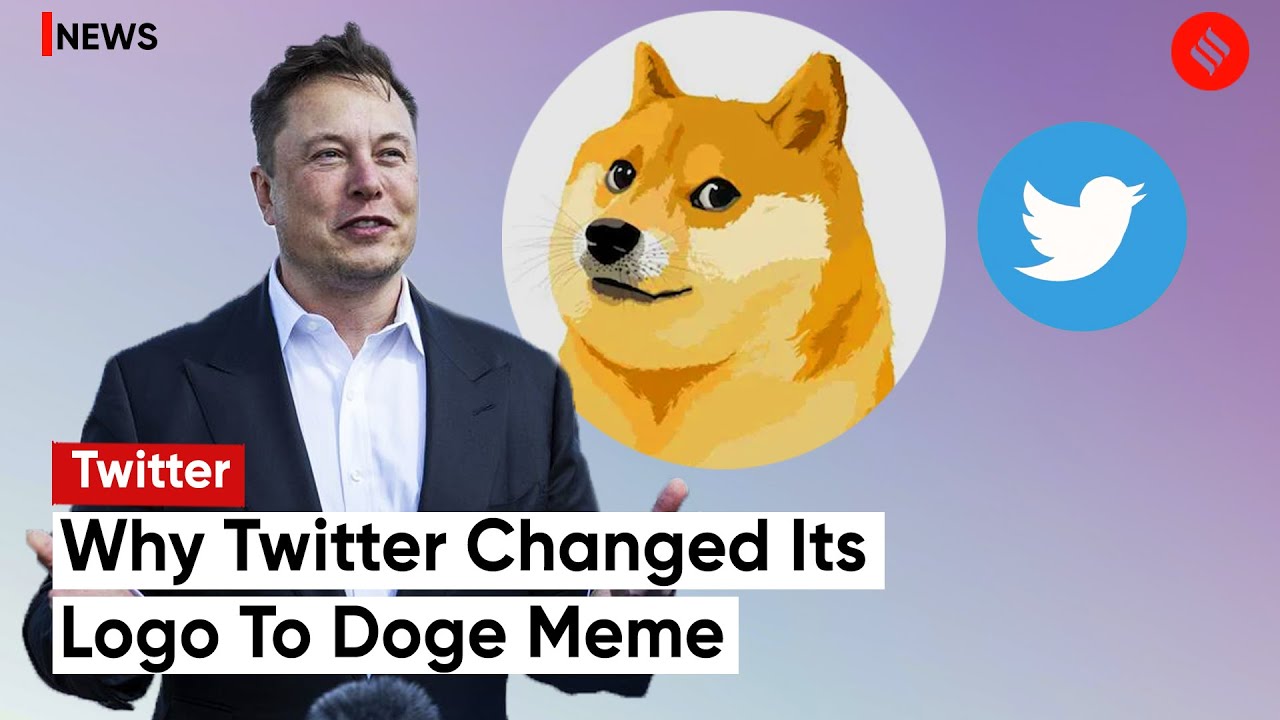 Twitter Changes Its Blue Bird Logo To Doge Meme; Elon Musk Tweets About ...