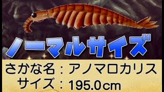 アノマロカリス【ドラクエ10オフライン】釣り場所ver2追加魚の攻略実況