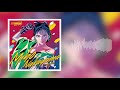 中山美穂 – catch me night tempo showa groove mix 【official visualizer】