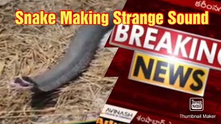 Snake Making strange Sound , Karimnagar, Telangana